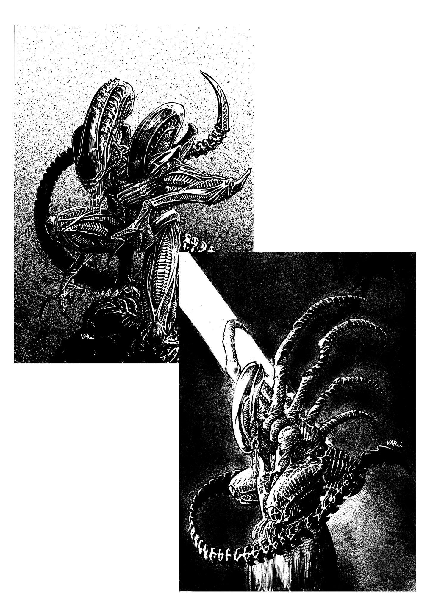 Xenomorph Print Bundle